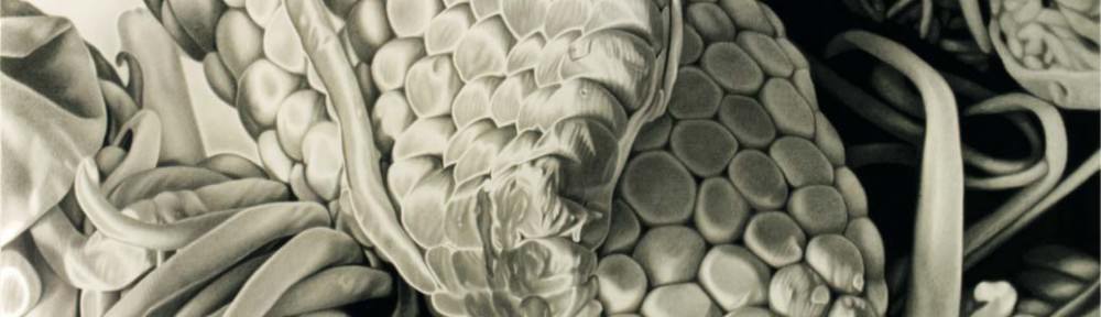 Ernesto Casero, "Micropaisaje II", 2011 lápiz carbón sobre papel 120x200 cm. Imagen cedida por pazYcomedias.