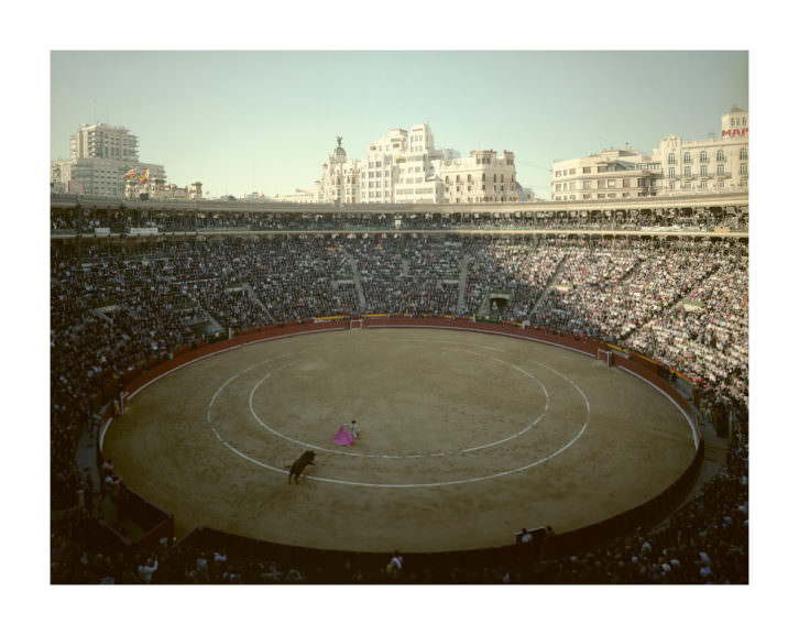 Jaume Albert. Toros. Imagen cortesía del artista