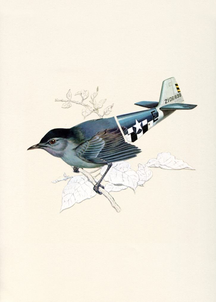 Collage. Obra de Valero Doval. Imagen por cortesía de la galería.