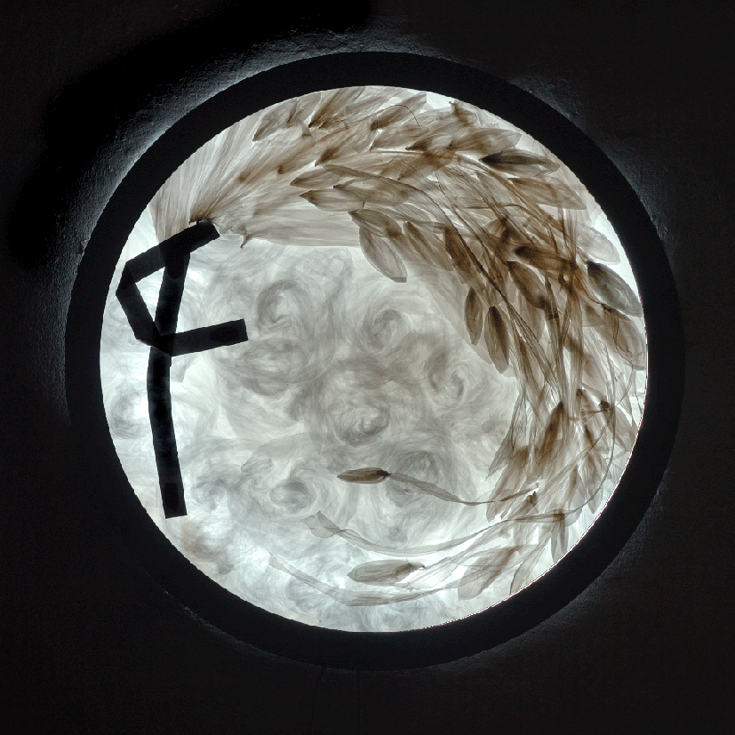 Mario Pasqualatto. Las alas del ángel. 2007. Imagen cortesía de la Galería Cànem
