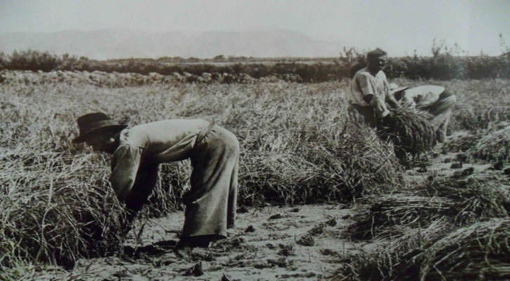 Imagen del archivo fotográfico de la agencia EFE.