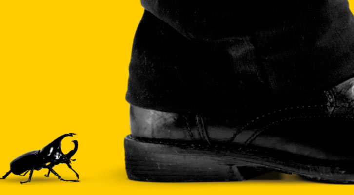 Detalle de la portada del libro 'Les escopinades dels escarabats', de Andreu Martin, en la editorial Bromera.