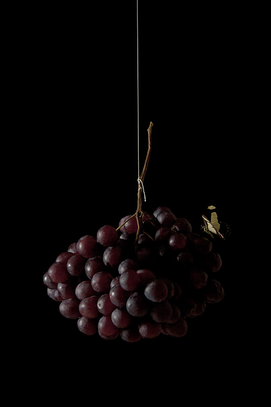 Vanessa Colareta, "Still Life: Story Behind" (Naturaleza Muerta. Fotografía). Imagen cortesía de la artista.
