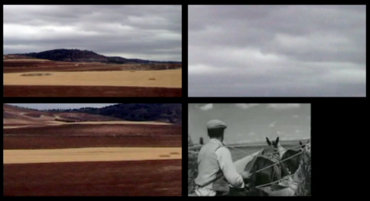 Damià Jordà. Molinos de viento, 2012. Vídeo DV Pal color. 4' 28''. Imagen cortesía del artista y Galería MisterPink.