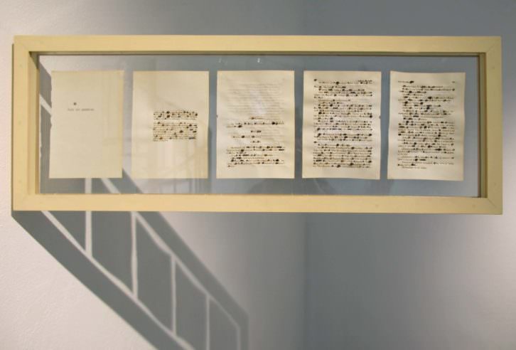 Rocío Garriga. Act without words II, 2014. Semillas, papel, madera y cristal. 30 x 86 cm. Cortesía Galería Paz y Comedias.