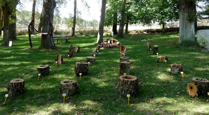 Instalación de Arístides Rosell en el paraje natural de Paracuello de la Vega. Imagen cortesía de Open Natura. 