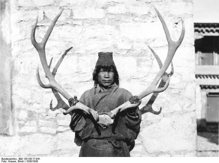 Tibetano con la cornamenta de una res. Imagen Ernst Krause, 1938/39. Cortesía Bundesarchive.