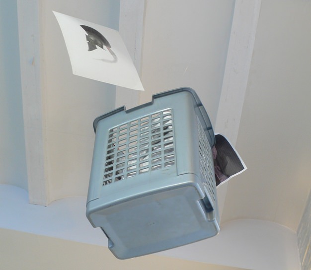 Detalle de la exposición de Carlos Mondriá.