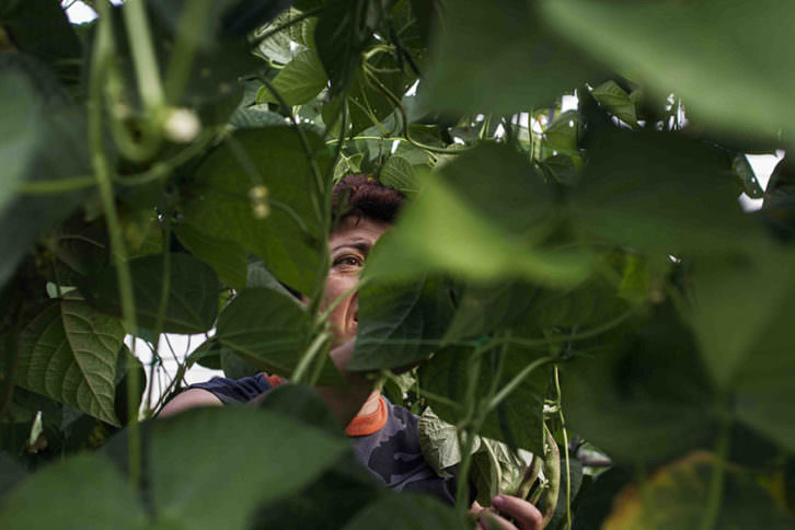 Rosa, agricultora, en la fotografía de Irene Marsilla. Imagen cortesía de Dones Fotoperiodistes.