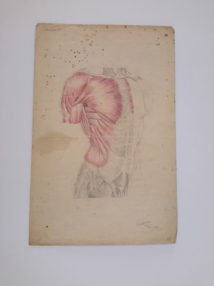 Dibujo de José Segrelles. Cortesía de IberCaja.