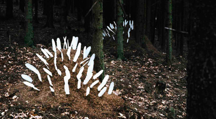 Obra de Lothar Smetteleas, en Luis Adelantado, Premio Adquisición de la Fundación Hortensia Herrero. 