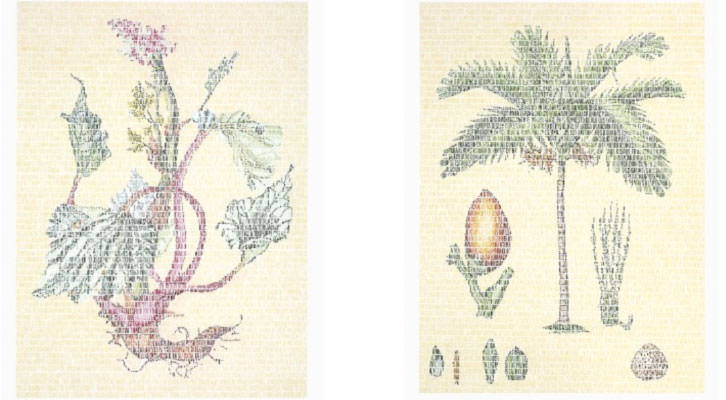 Obras de Juanli Carrión. Imagen cortesía de Galería Rosa Santos.