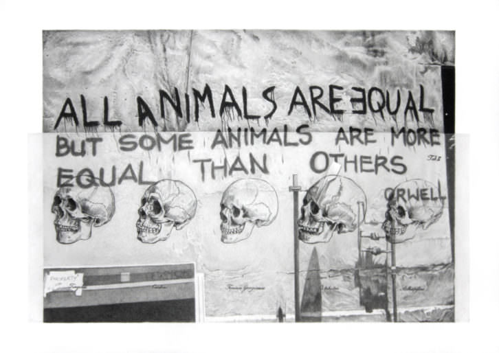 Ernesto Casero. All animals are equal, 2015. Cortesía Galería pazYcomedias.