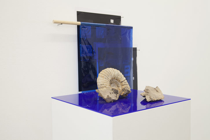 'Last' (2016) instalación con fósiles y reproducciones fotográficas. Imagen cortesía de la galería.