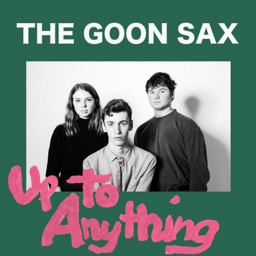 14 - The Goon Sax- Up To Anything