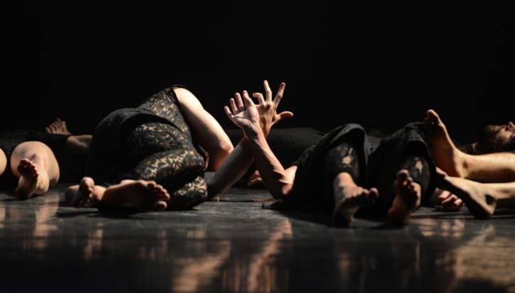 Sharon Fridman. Imagen cortesía de Dansa València. 