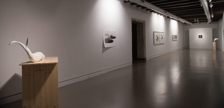 Vista de la exposición 'Dócil', de Carlos Domingo. Imagen cortesía del Museo de Teruel. 