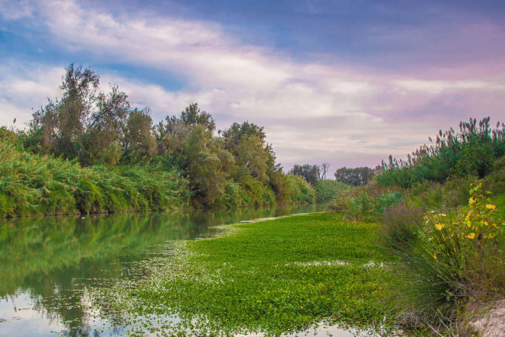 Rio Xuquer, de Pep Pelecha. Imagen cortesía del Centre del Carme.