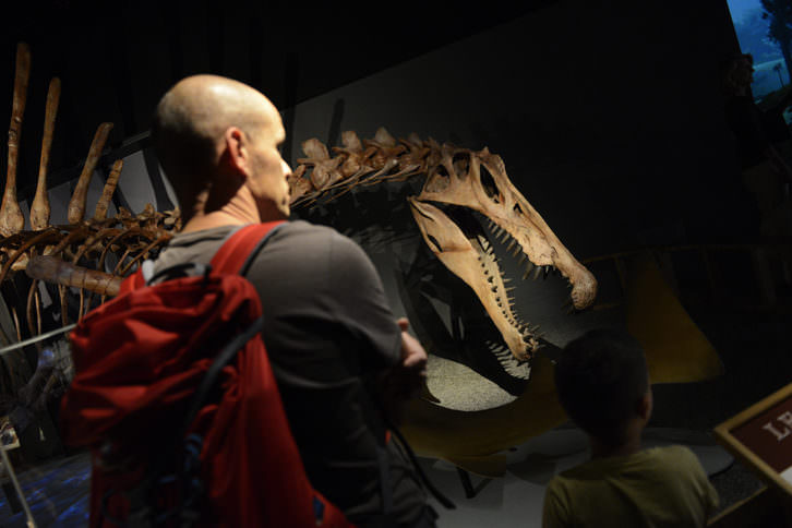 Spinosaurus: el gigante perdido del Cretáceo.Imagen cortesía del Museo de las Ciencias.