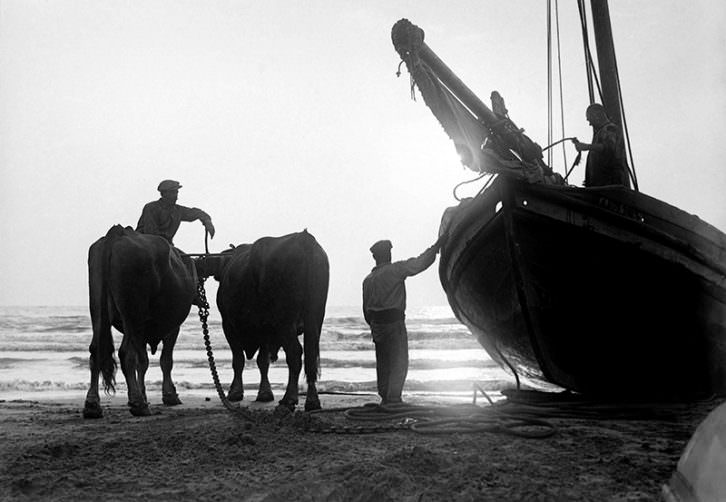 Pesca del bou, de Martín Vidal Romero. Imagen cortesía de Muvaet. 