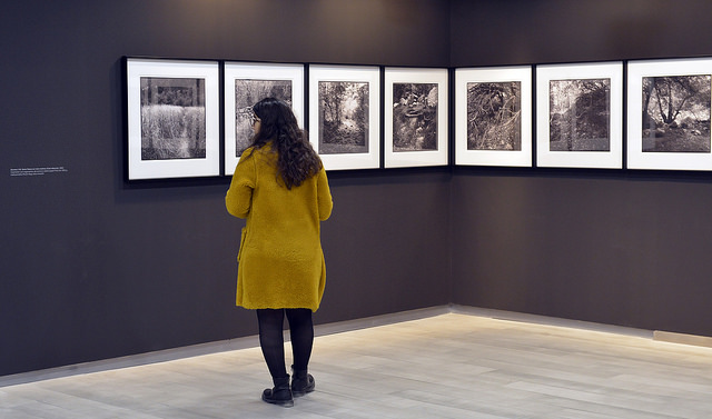 Vista de la exposición de Paco Caparrós. Imagen cortesía de Fundación Bancaja.