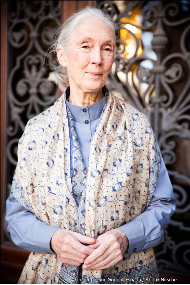 jane goodall, esperanza
