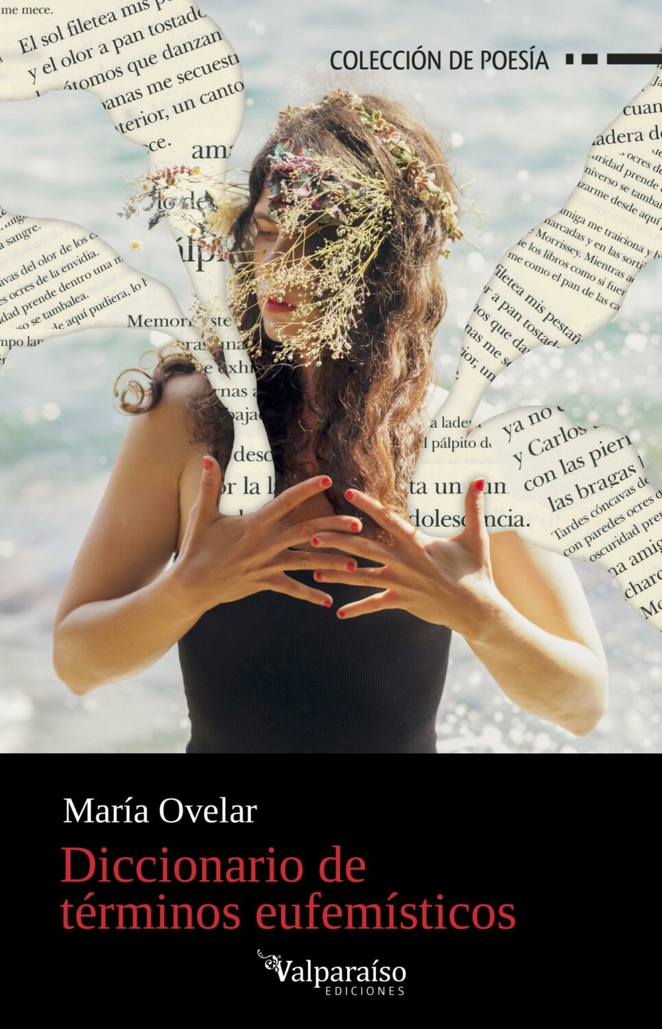 María Ovelar. Diccionario de términos eufemísticos