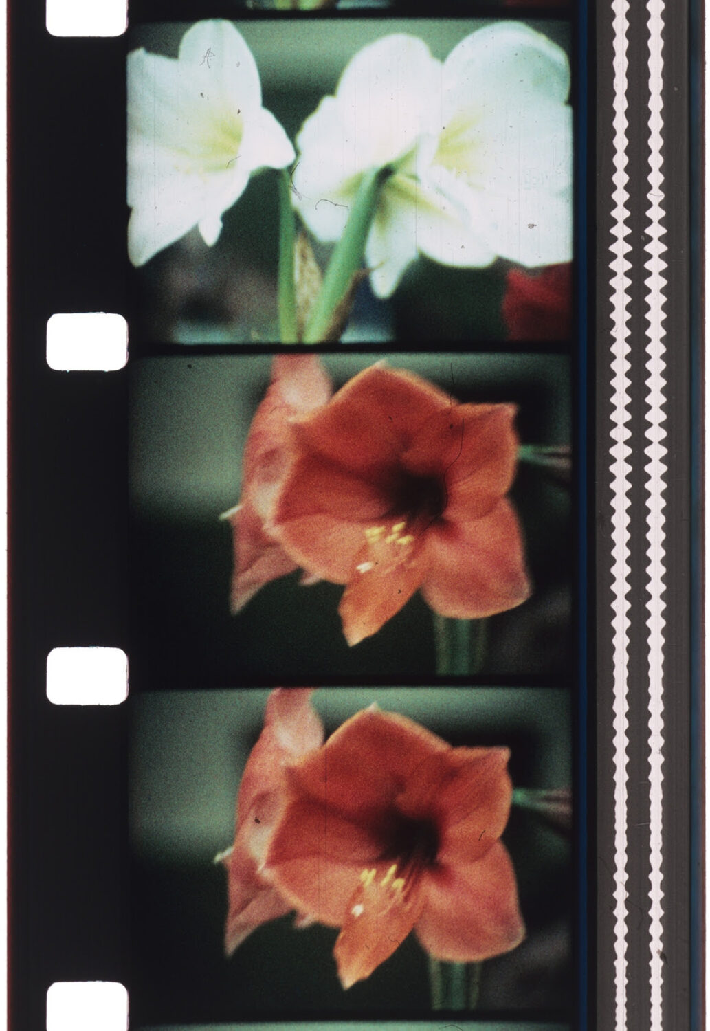 Jonas Mekas. Colección José Luis Soler. ‘Mnemosyne’. Bombas Gens