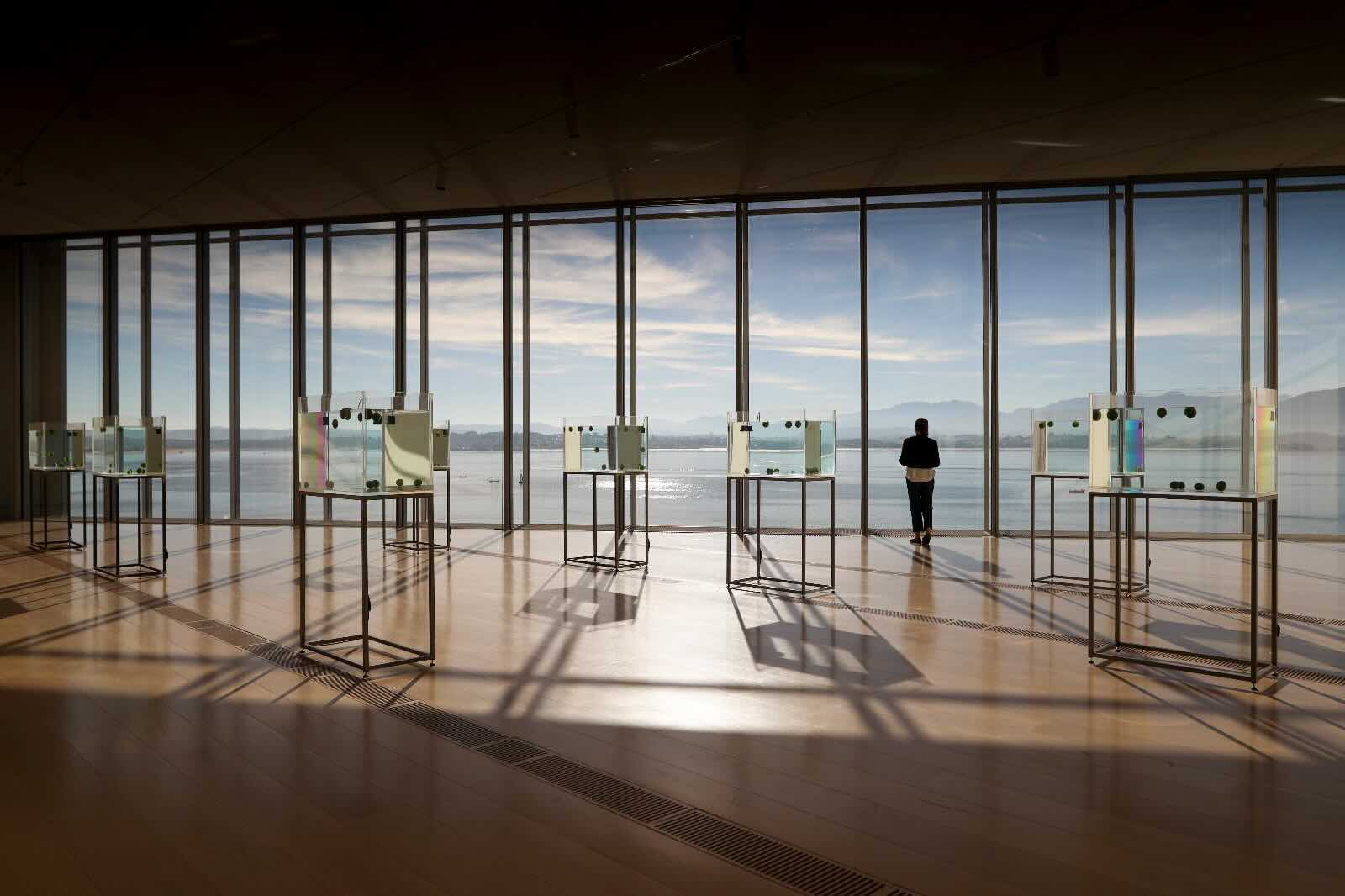 Centro Botín. El impacto social. Centros de arte
