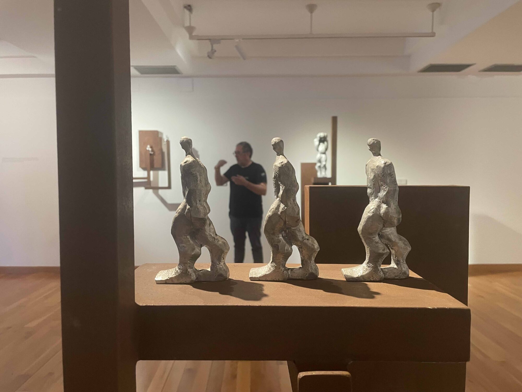 Moisés Gil. Museo de Arte Contemporáneo de Elche (MACE)
