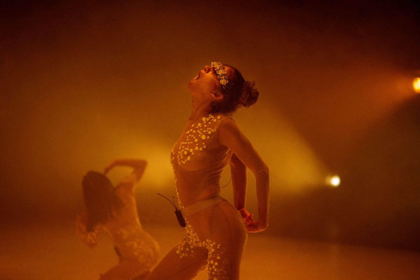 ‘Proto (SN1806)’, de Janet Novás. TEM