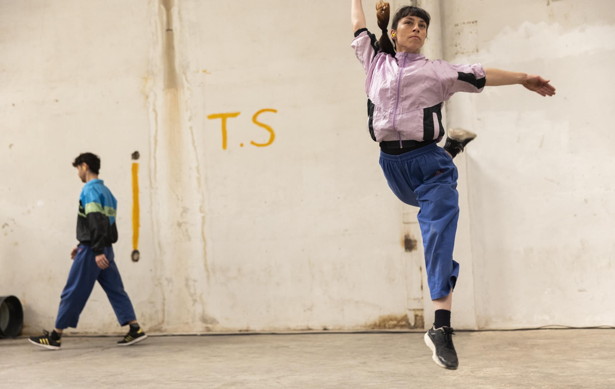 Zona Grisa. La Mutant