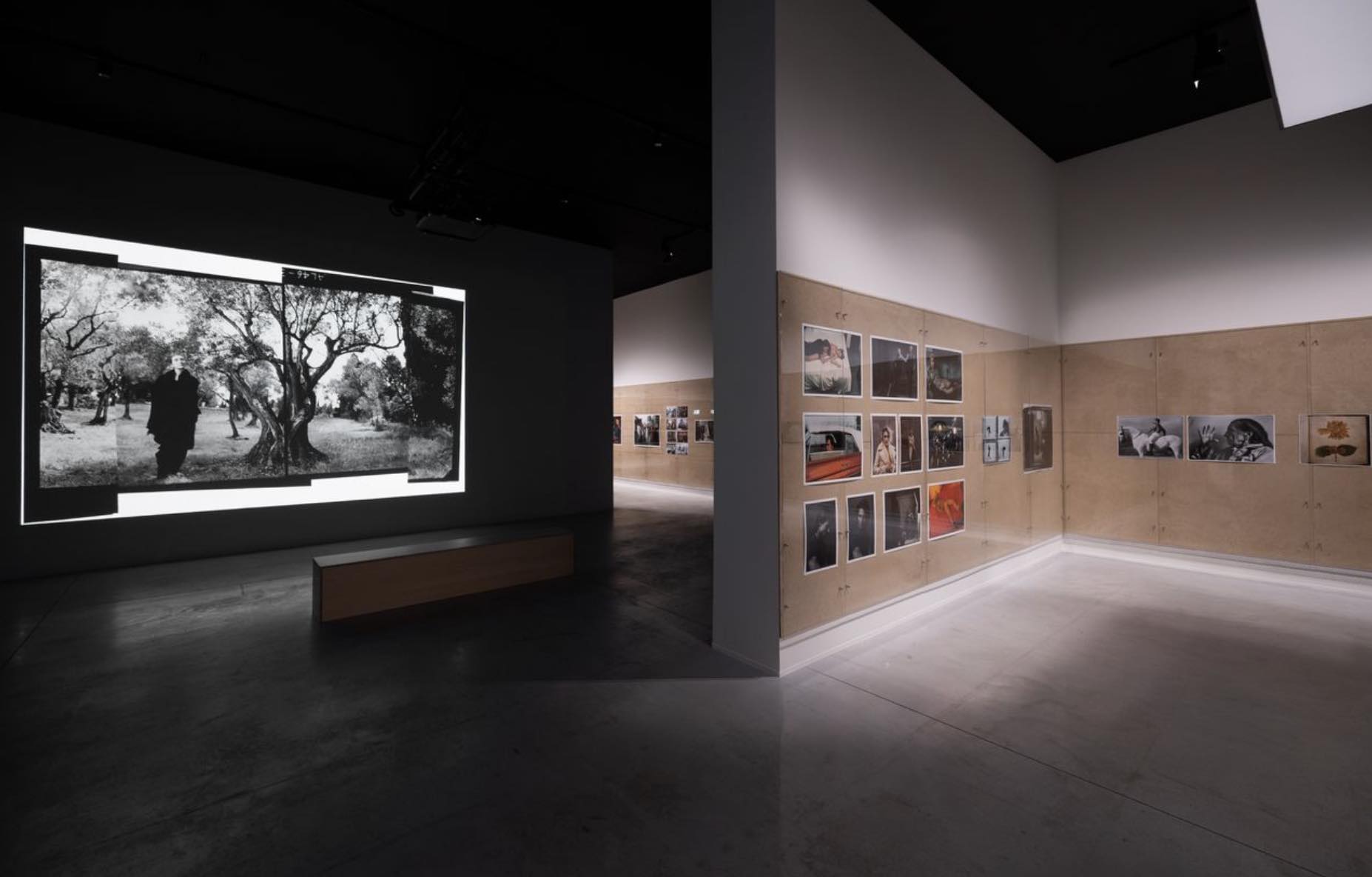 Annie Leibovitz. Wonderland. MOP Foundation