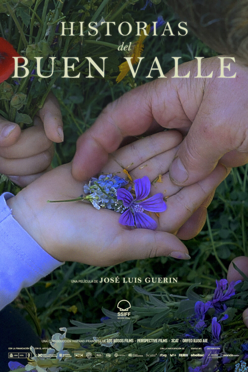 José Luis Guerín. Historias del buen valle