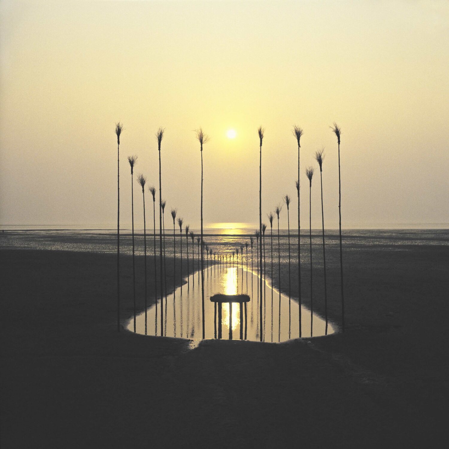 'Casa de agua II'. Nils-Udo. Galería Ana Serratosa