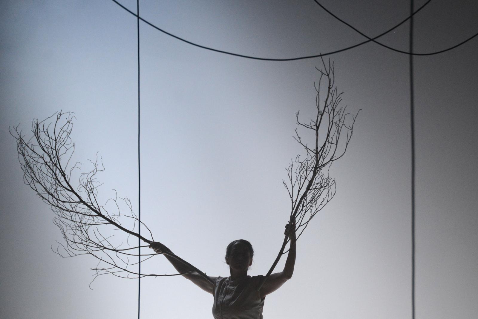 Paisatge: Solsida. Sala Carme Teatre