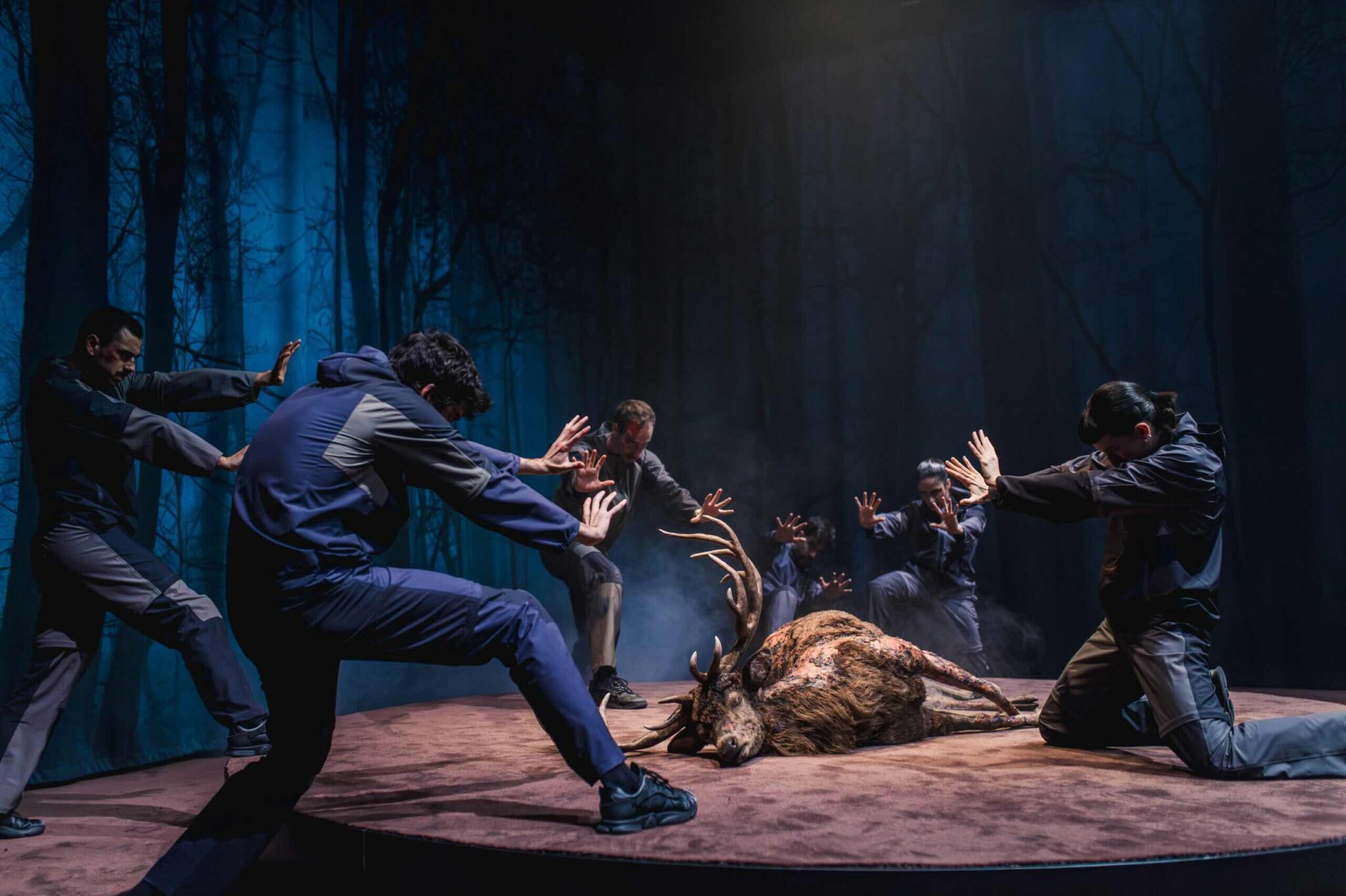 Ultimatum. Dansa València