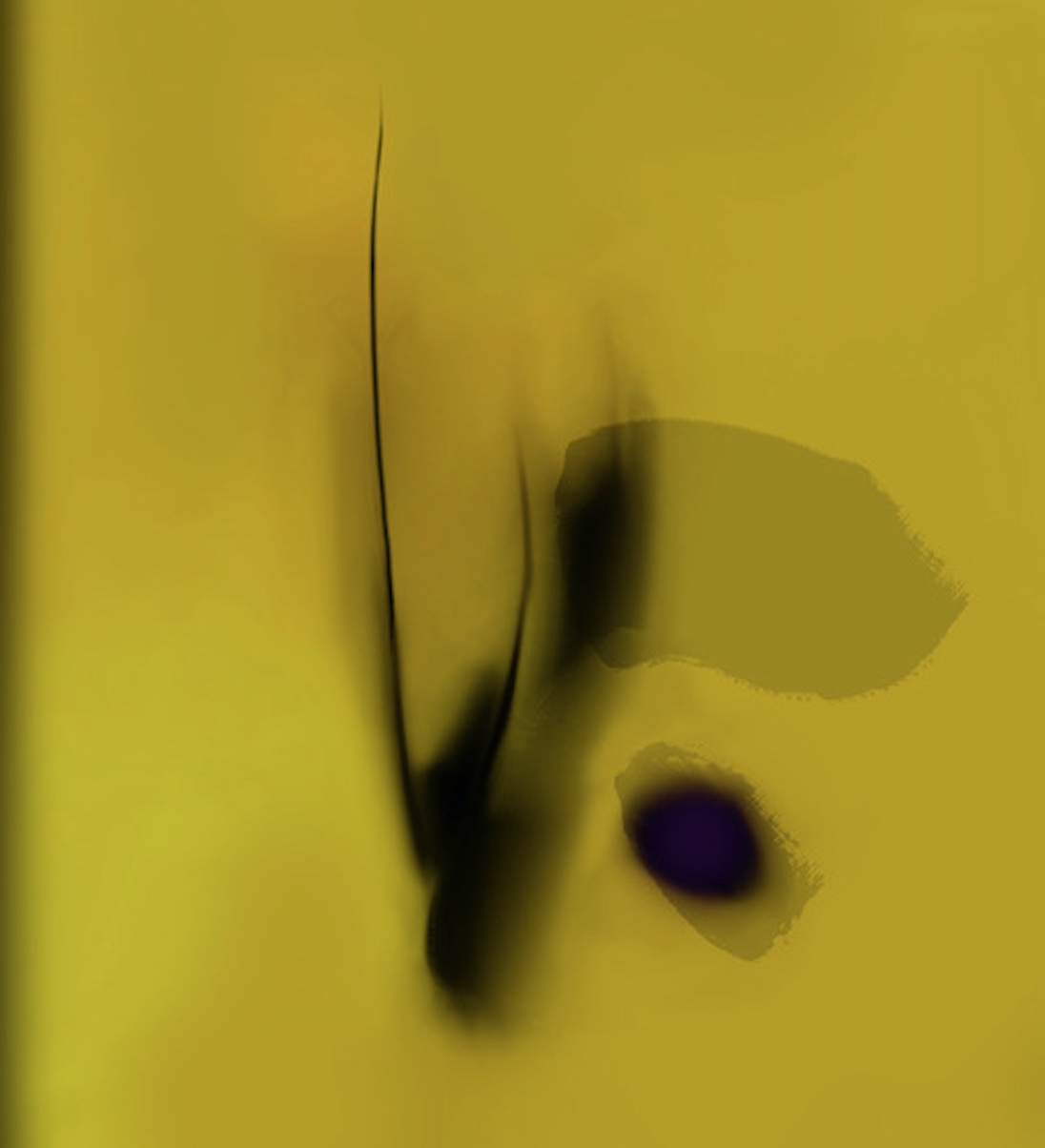 Rhiza. María José Marco. CLC Arte