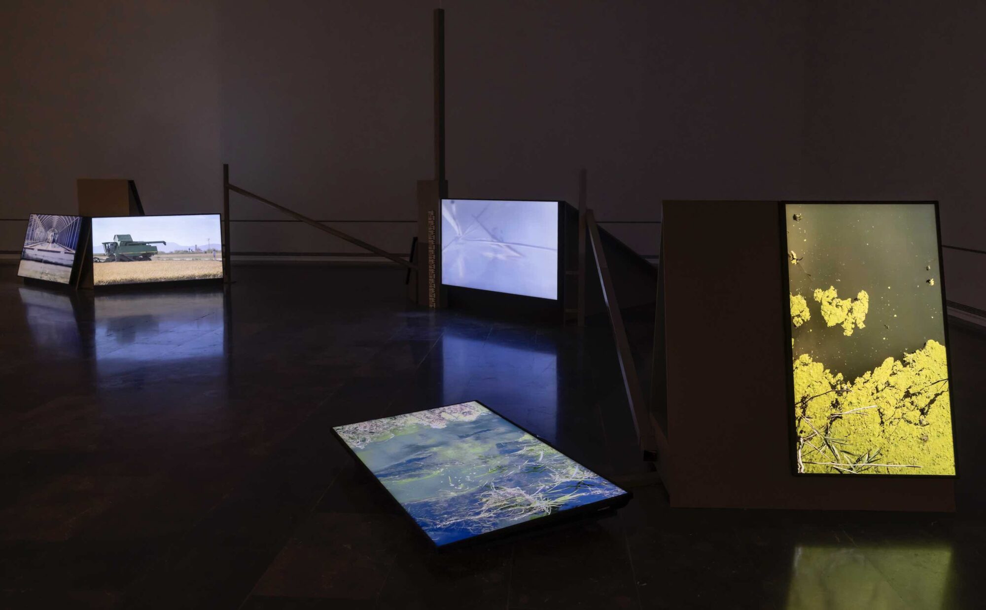 Instalación de Teresa Marín García, en la exposición 'La Albufera'. Foto: Miguel Lorenzo.