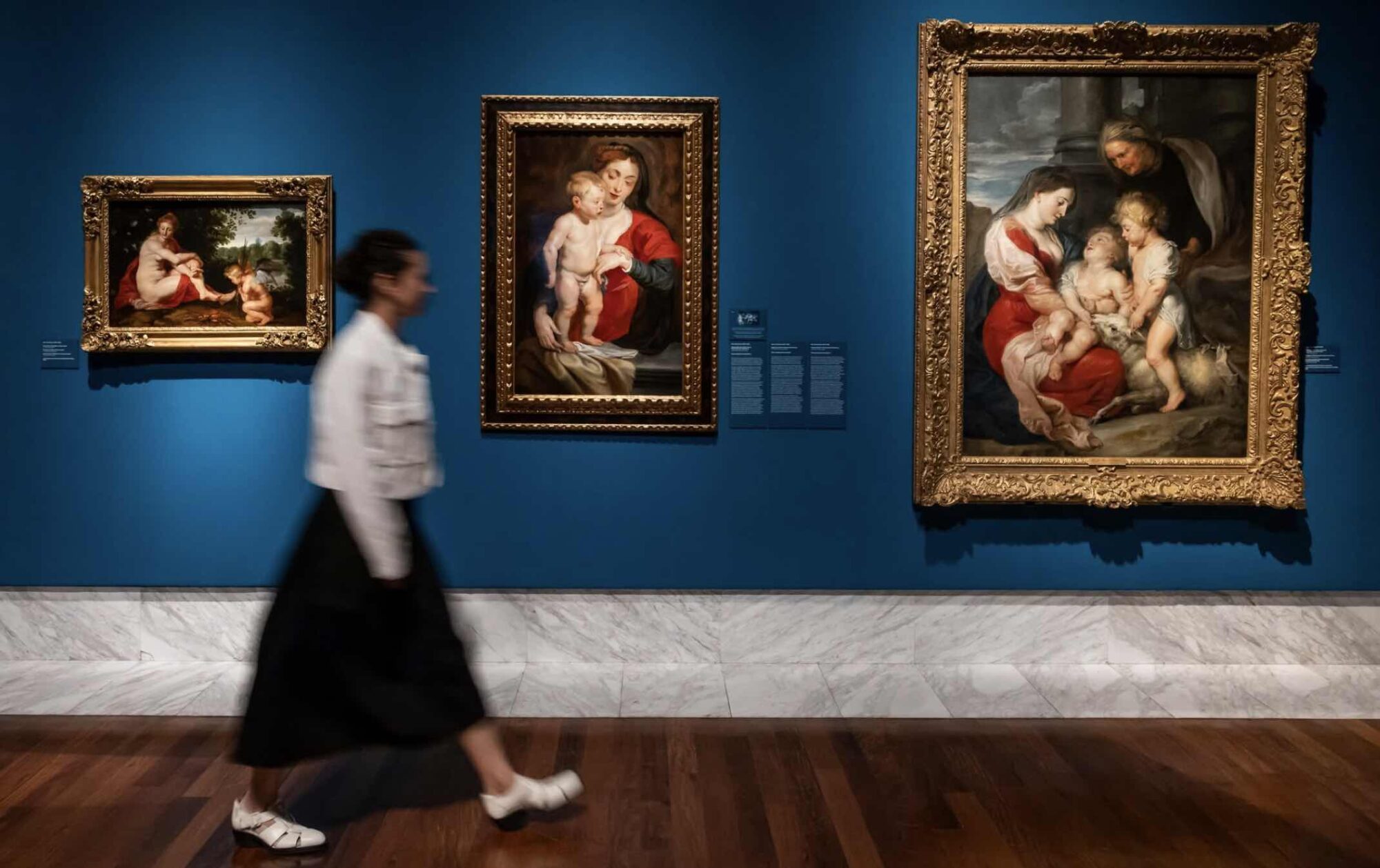 Rubens. MuBAV